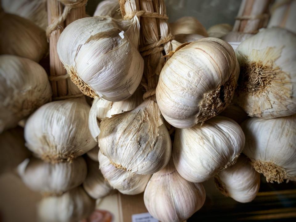 Question: Where does the garlic and vampires myth come from?