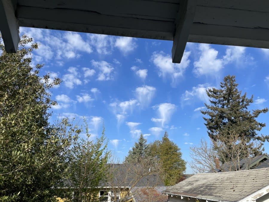 'Jellyfish'-like clouds caught on camera by Linda Berkemeier in Southeast Portland on Tuesday, April 2, 2024. (Credit: Linda Berkemeier)