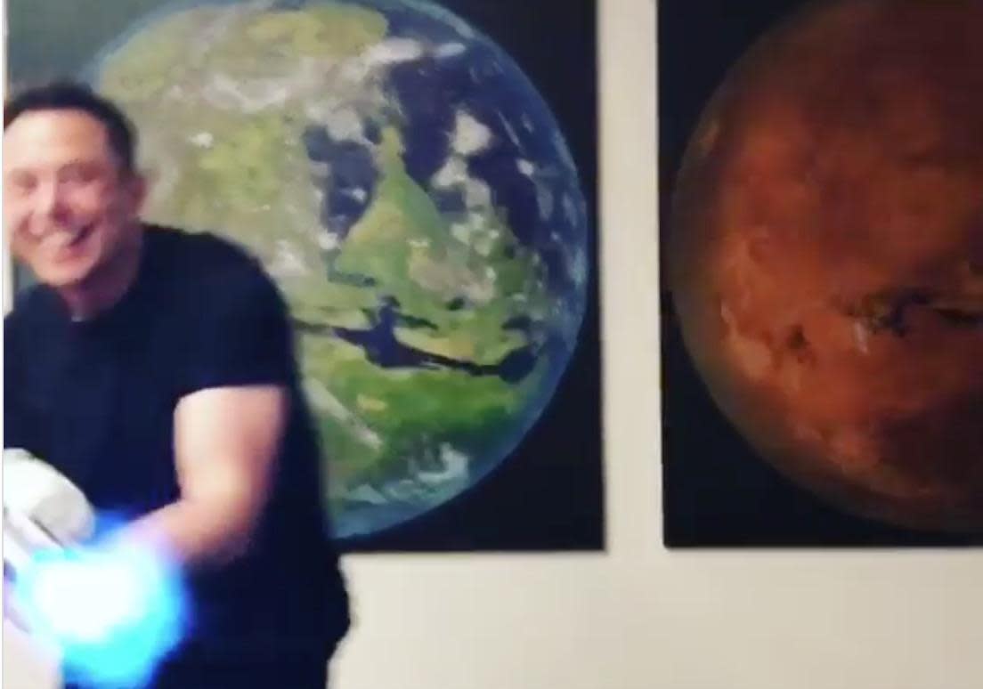 Elon Musk/Instagram/screengrab