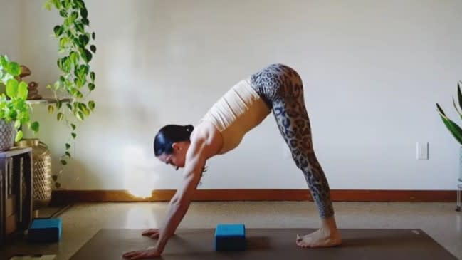 Kels Yogi performing downward dog jumps using yoga block during yoga block workout in studio