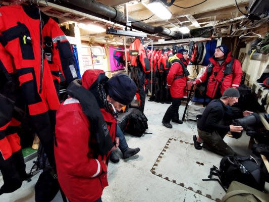 Researchers studying penguins