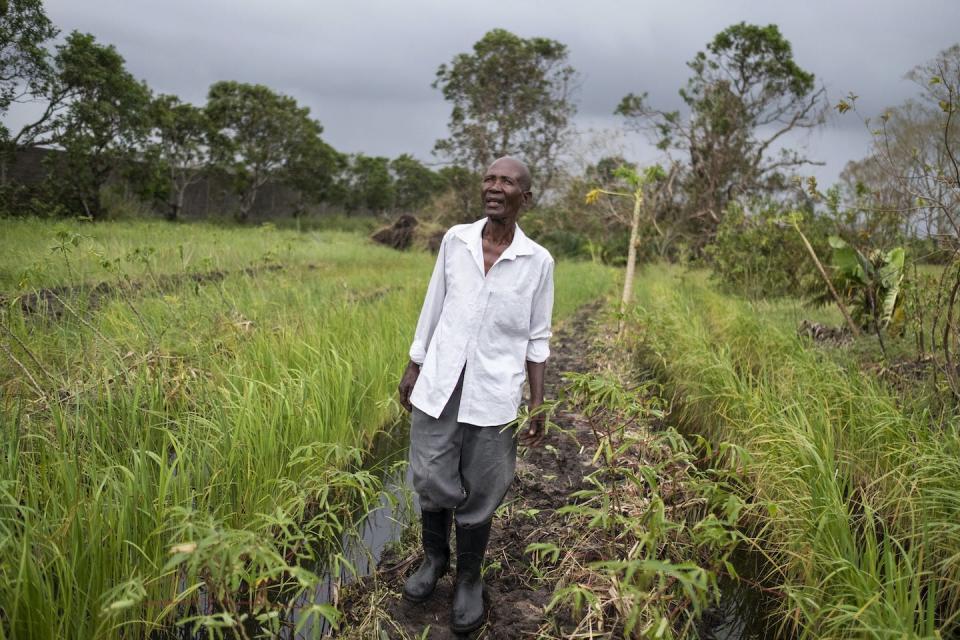 Forecasts by text message can help farmers prepare for extreme weather and time their planting and harvesting. <a href="https://www.gettyimages.com/detail/news-photo/xavier-paulino-tapera-a-subsistence-farmer-surveys-his-rice-news-photo/1132140855?adppopup=true" rel="nofollow noopener" target="_blank" data-ylk="slk:Wikus de Wet/AFP via Getty Images;elm:context_link;itc:0;sec:content-canvas" class="link ">Wikus de Wet/AFP via Getty Images</a>