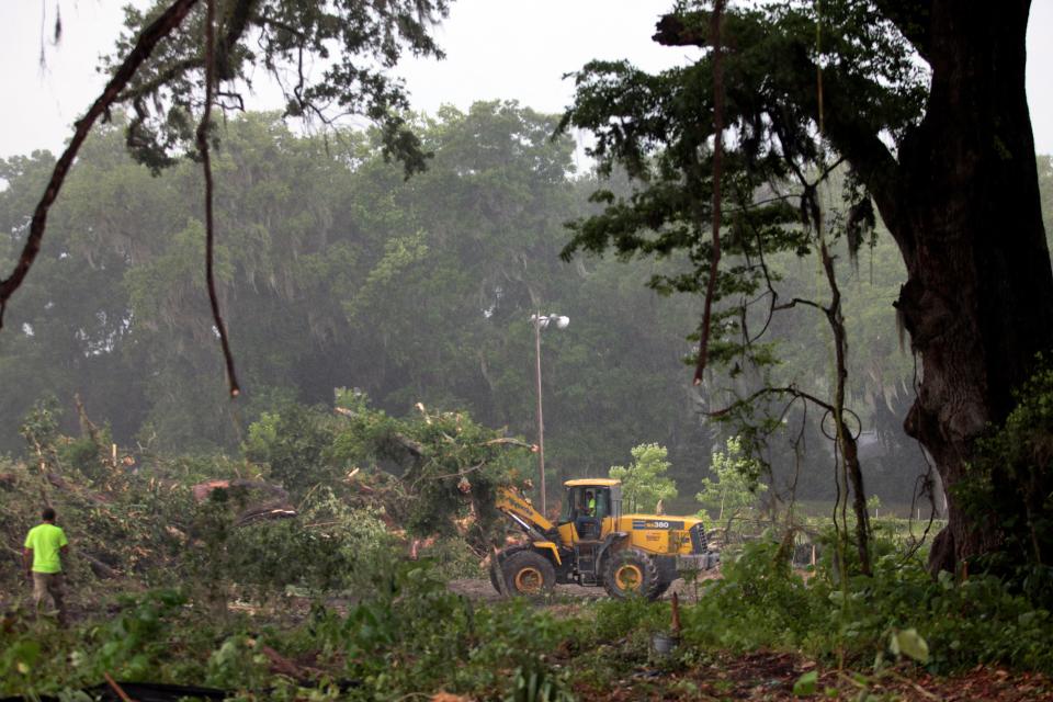 Workers remove trees to make way for a development.