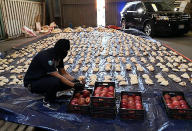 FILE - In this photo released by Saudi Press Agency, a Saudi custom officer opens imported pomegranates, as customs foiled an attempt to smuggle over 5 million pills of an amphetamine drug known as Captagon, which they said came from Lebanon, at Jiddah Islamic Port, Saudi Arabia, April 23, 2021. Televised comments by George Kordahi, a Lebanon Cabinet minister about the war in Yemen exposed the depth of the crisis with Saudi Arabia, once a strong ally that poured millions and offered unwavering political support in this small Mediterranean nation. The crisis over veered into diplomatic isolation of Lebanon and threatens to split a new coalition government tasked with halting the country’s economic meltdown. (Saudi Press Agency via AP, File)