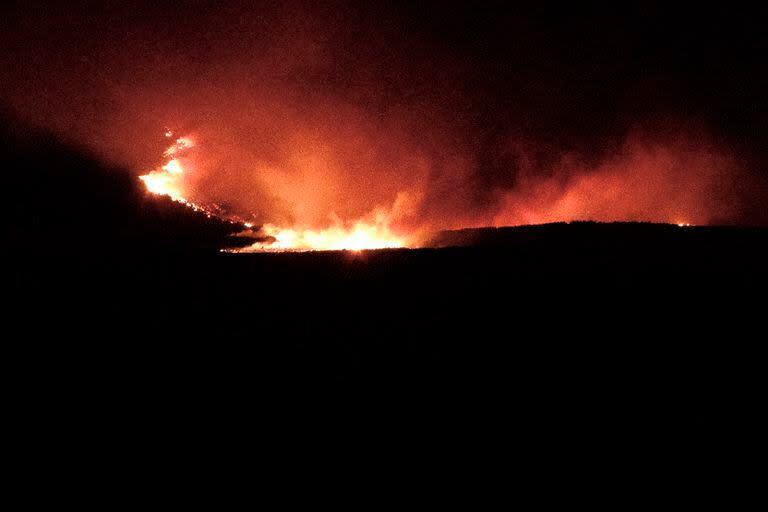 El fuego en el parque Los Alerces comenzó el 25 de enero y todavía sigue activo