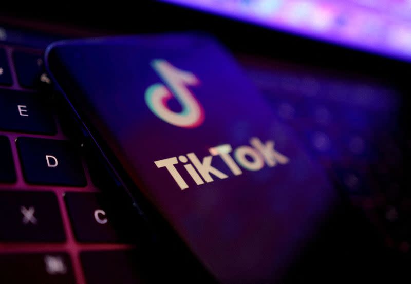 FILE PHOTO: Illustration shows TikTok app logo