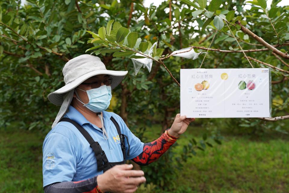 紅心土爸樂園農場主人何志賢原本是設計主管，轉型專業農夫。（圖：花蓮縣政府提供）