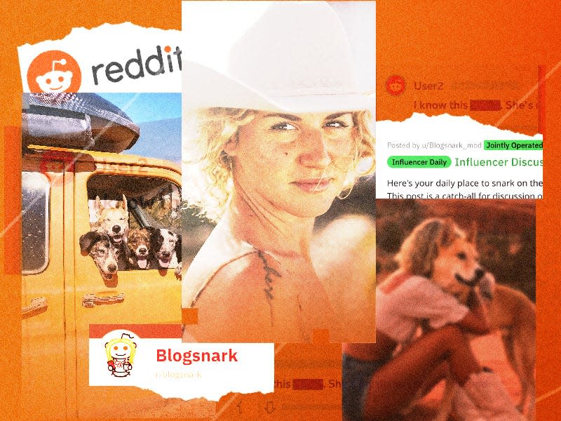 Photo collage of van-life influencer Brianna Madia surrounded by Reddit logo, and reddit threads (like r/blogsnark)