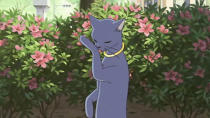 <p> <strong>The Cat:</strong> Lune is the Prince of the Cat Kingdom, who offers his hand in marriage to the young girl who saves him from becoming roadkill. So unfolds another gorgeous fantasy from the Studio Ghibli team </p> <p> <strong>If It Was A Dog:</strong> The little girl would have politely declined the offer, and got herself a tetanus jab. </p>
