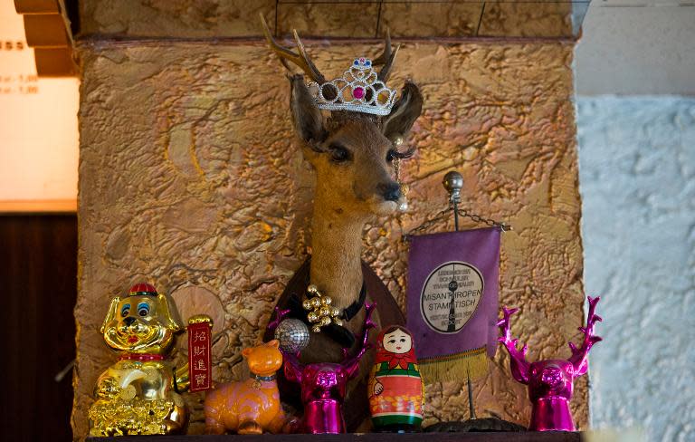 A deer head trophy hangs on the wall of the restaurant 'Raststaette Gnadenbrot' in Berlin on March 28, 2014