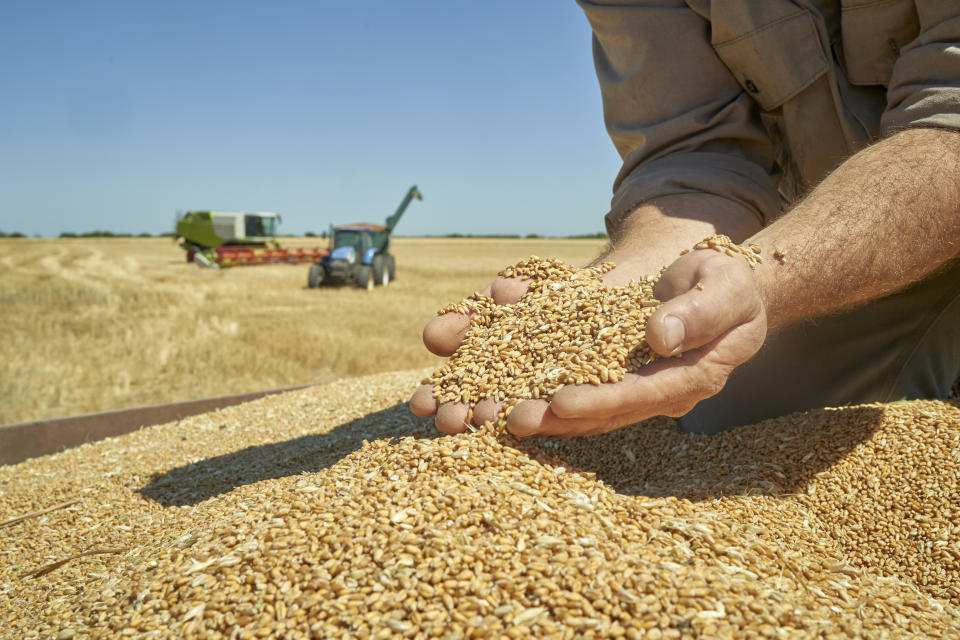 100 Schiffe sollen das Land verlassen haben (Symbolbild: Getty Images)