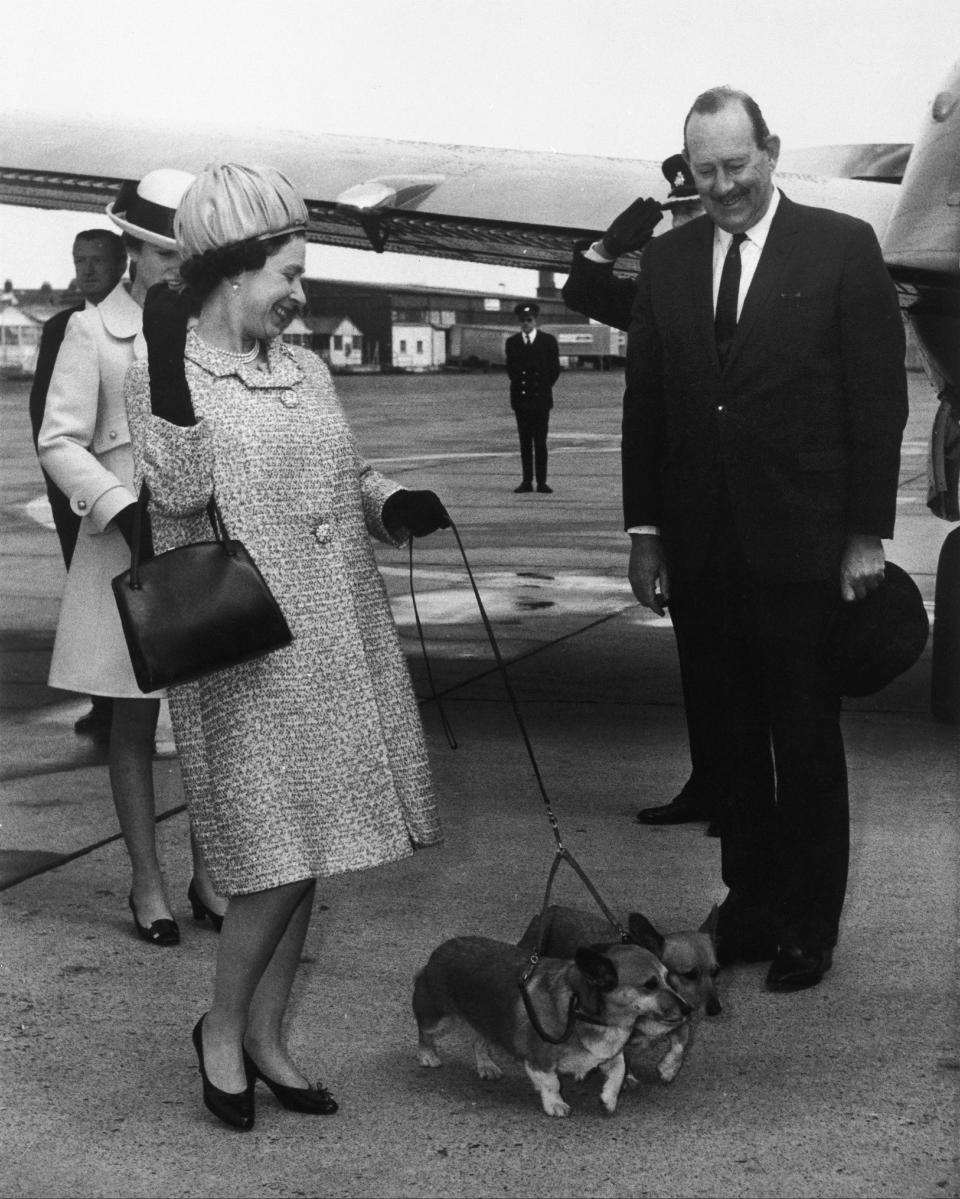 Queen Elizabeth with her corgis in the Sixties