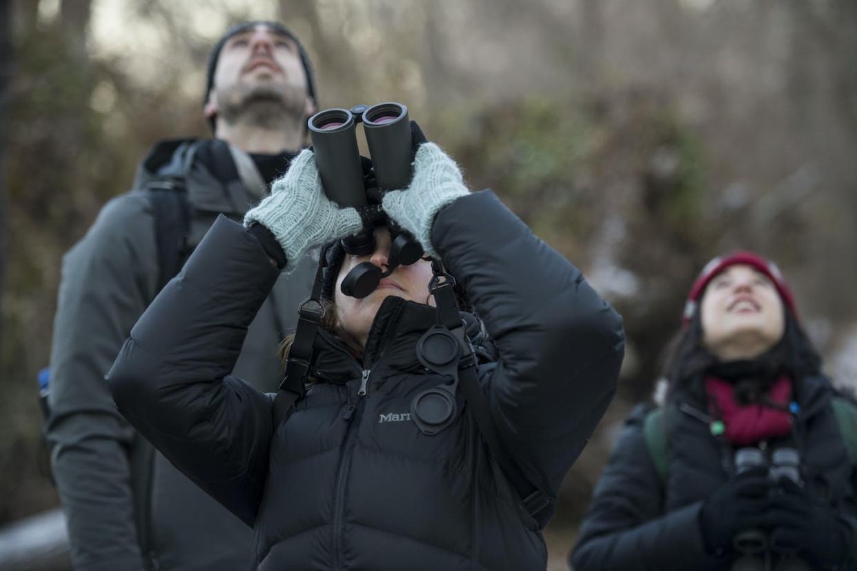 Birders participate in the Christmas Bird Count on Theodore Roosevelt Island in Washington, D.C., Dec. 16, 2017. <a href="https://www.gettyimages.com/detail/news-photo/diana-handy-looks-at-a-bird-during-the-christmas-bird-count-news-photo/893985384" rel="nofollow noopener" target="_blank" data-ylk="slk:Carolyn Van Houten/The Washington Post via Getty Images;elm:context_link;itc:0;sec:content-canvas" class="link ">Carolyn Van Houten/The Washington Post via Getty Images</a>