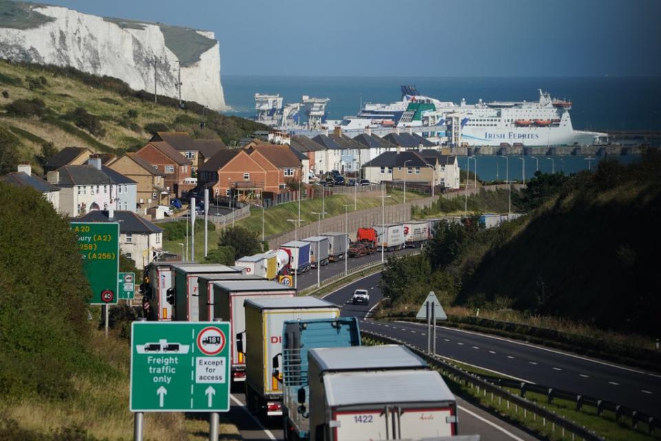 Lorries backed up on the A20 in Kent (Gareth Fuller/PA) (PA Wire)