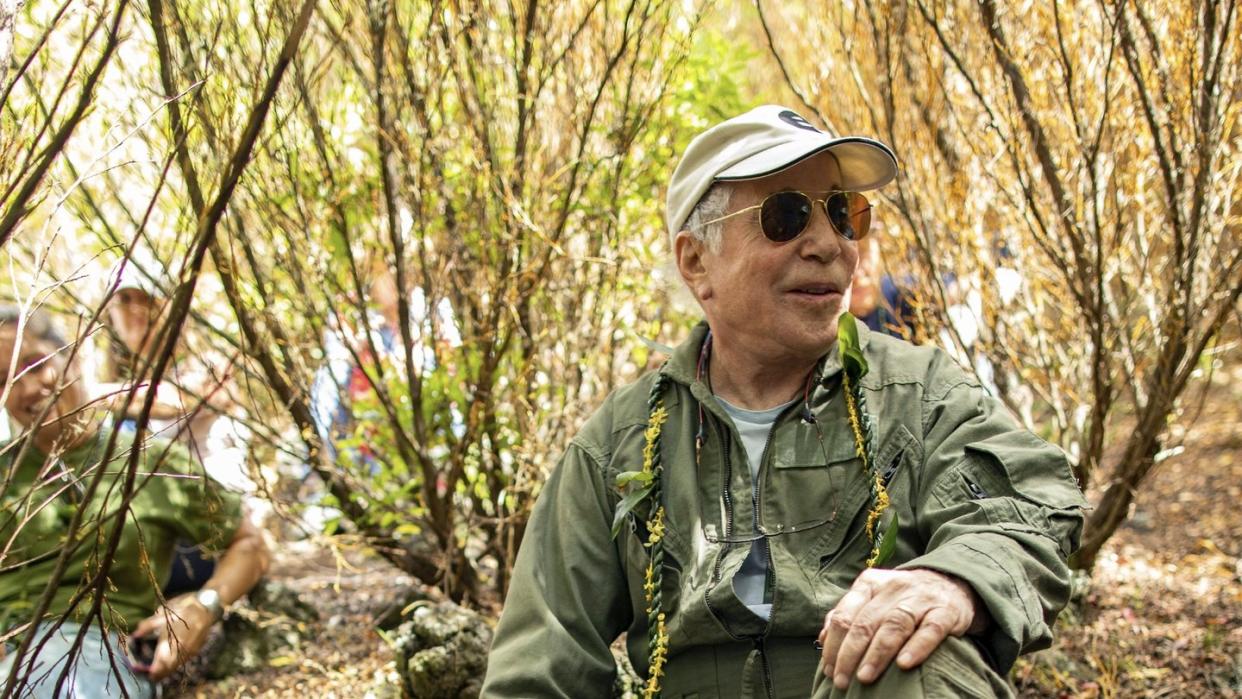 Der Musiker Paul Simon im Wald. Foto: Anna Kim/Honolulu Star-Advertiser/AP