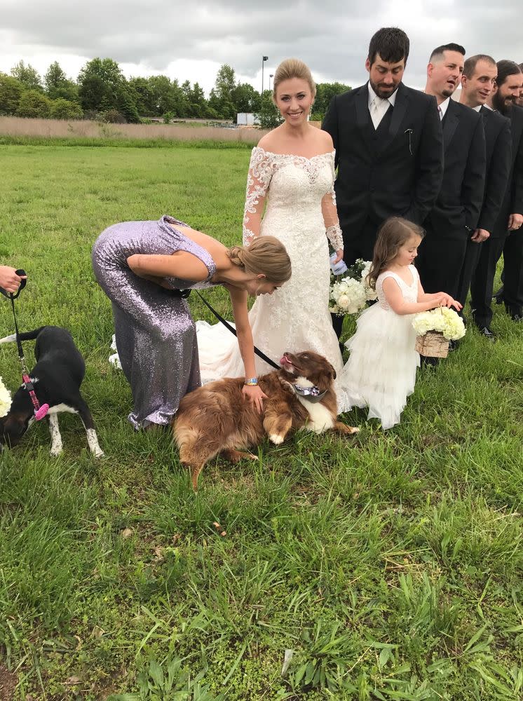 Sally Burky knew she wanted something different in her wedding, so she went to the animal rescue Haven of the Ozarks for help