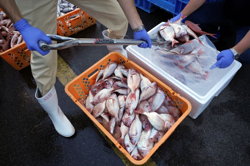 IAEA Marine Environmental Laboratories experts visit Japan to monitor Fukushima water release