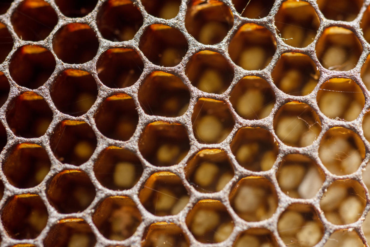 Sufferers of trypophobia have a fear of small holes in a regular pattern [Photo: Getty]