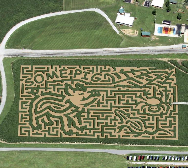 best corn mazes