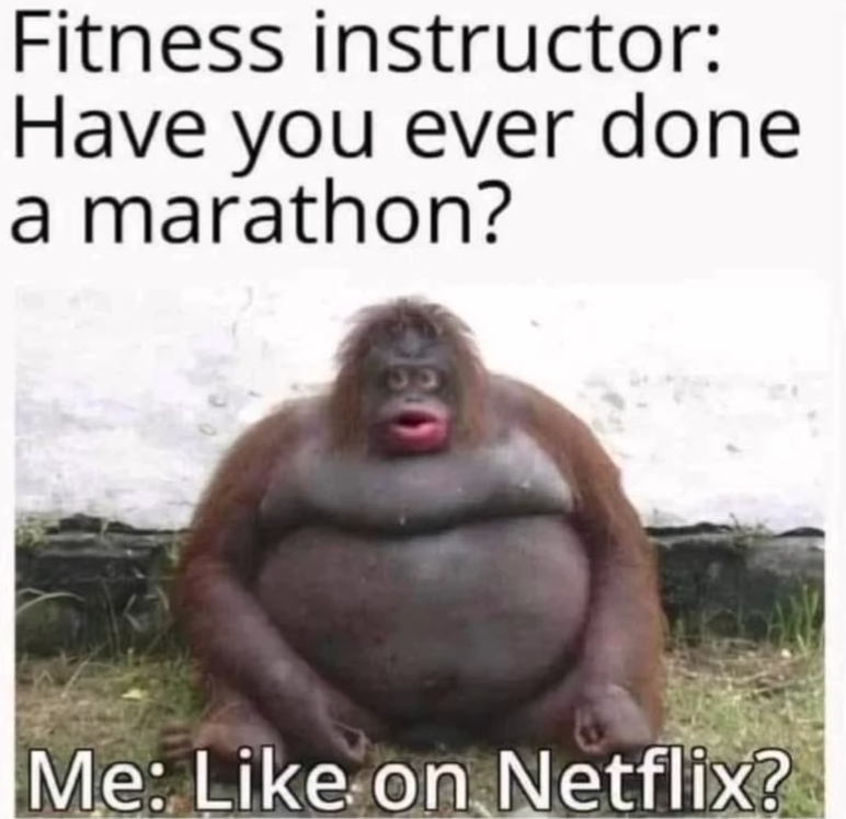 Exercise memes: Super large gorilla with caption: Fitness instructor: Have you ever done a marathon? Me: Like on Netflix?