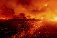 Embers fly across a roadway as the Bear Fire burns in Oroville, Calif., on Wednesday, Sept. 9, 2020. The blaze, part of the lightning-sparked North Complex, expanded at a critical rate of spread as winds buffeted the region. (AP Photo/Noah Berger)