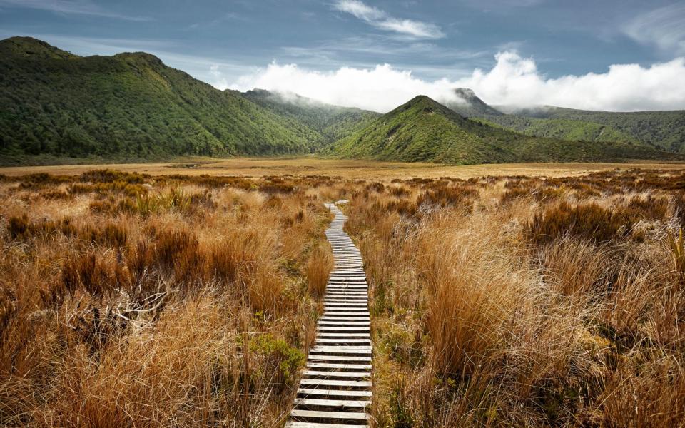 A hiking path in New Zealand - Getty