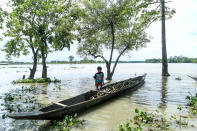 A girl of Laibil villageo of Sibsagar district collects tree branches floats due to flood in Sibsagar district of Assam, India, on July 22, 2020. The whole whole villages affected by the flood on 22nd July 2020. (Photo by Dimpy Gogoi/NurPhoto via Getty Images)