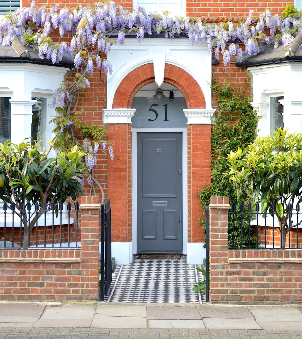 Wisteria Season