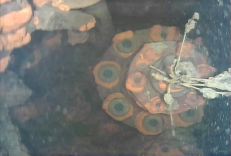 An image from an underwater robot shows the lower part of a control rod drive inside reactor No. 3 at Fukushima Dai-ichi nuclear power plant in Okuma, Fukushima prefecture