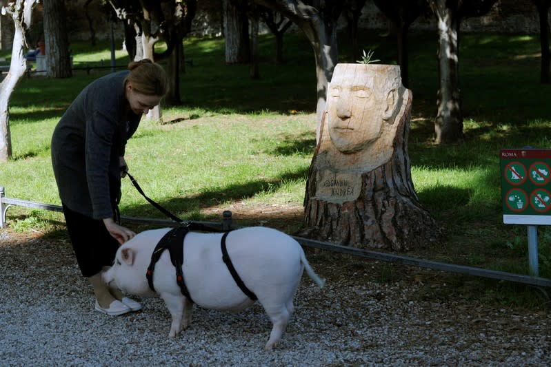 Tamed pig passes by an Andrea Gandini's sculputure from a dead tree stump in downtown Rome