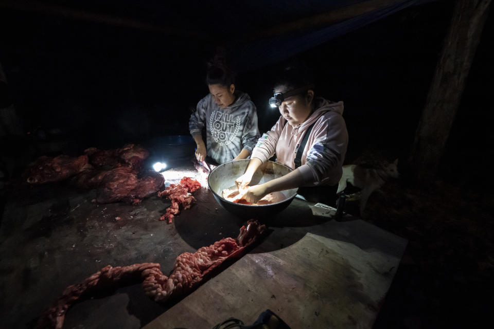 Giovanna Stevens, left, and Kori Williams clean moose intestines at Stevens' family hunting camp on Wednesday, Sept. 15, 2021, near Stevens Village, Alaska. For the first time in memory, both king and chum salmon have dwindled to almost nothing and the state has banned salmon fishing on the Yukon. The remote communities that dot the river and live off its bounty are desperate and doubling down on moose and caribou hunts in the waning days of fall.(AP Photo/Nathan Howard)