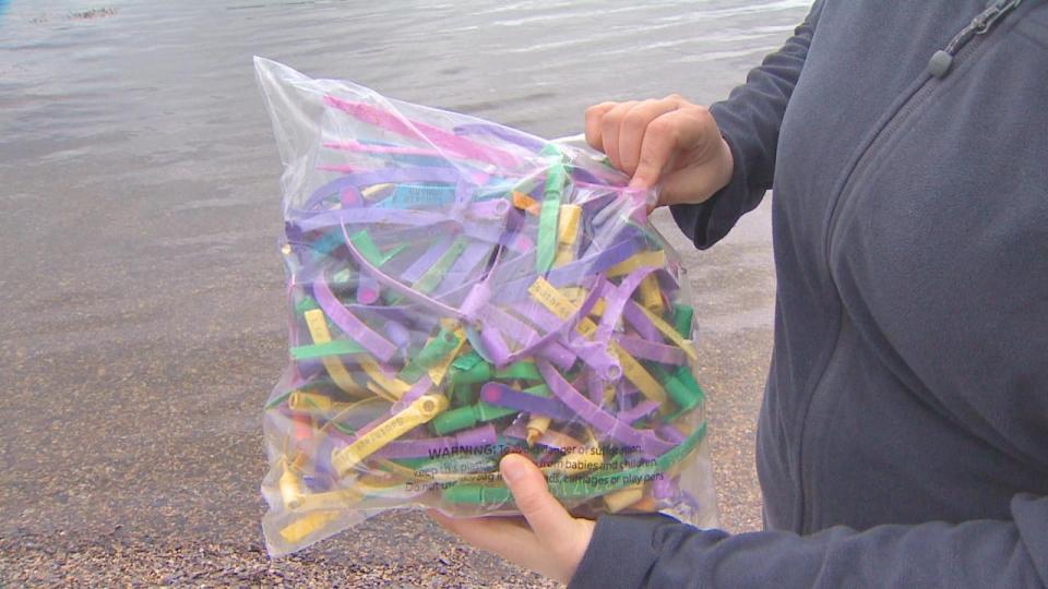 Ghost gear can take many forms — from abandoned nets and traps, to tags like the ones pictured here.