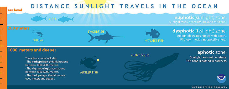 科學家將海洋依照光線照射程度，由上至下分別為「透光帶（Euphotic Zone）」、「弱光帶（Disphotic Zone）」及「無光帶（Aphotic Zone）」三個區域。