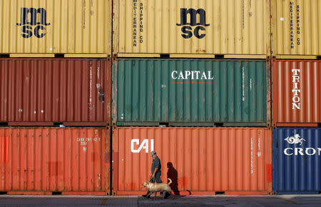 FILE PHOTO: A Guardia di Finanza policeman walks with his dog during an inspection of containers at Italy's biggest port Gioia Tauro, November 8, 2012. REUTERS/Alessandro Bianchi/File Photo