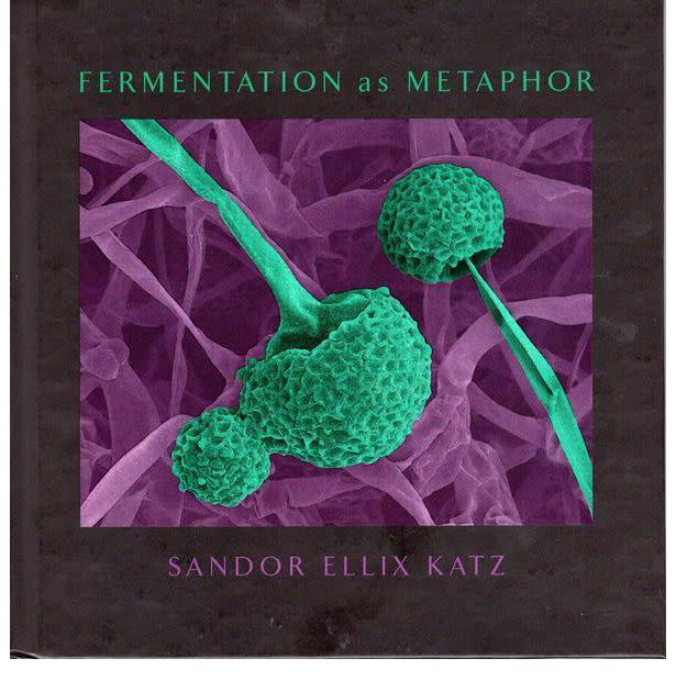 Fermentation as Metaphor