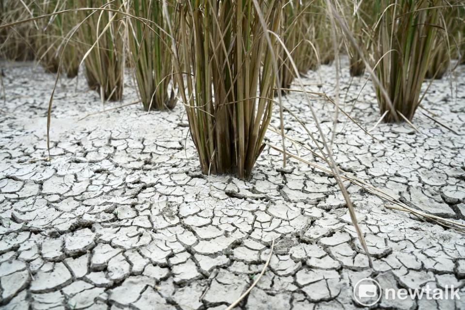 目前新竹、苗栗、台中已實施水減壓供水，氣象局長鄭明典表示，因為春雨多集中在河川下游，新竹、台中會是最先感受缺水壓力的縣市。   圖：張良一/攝（資料照）