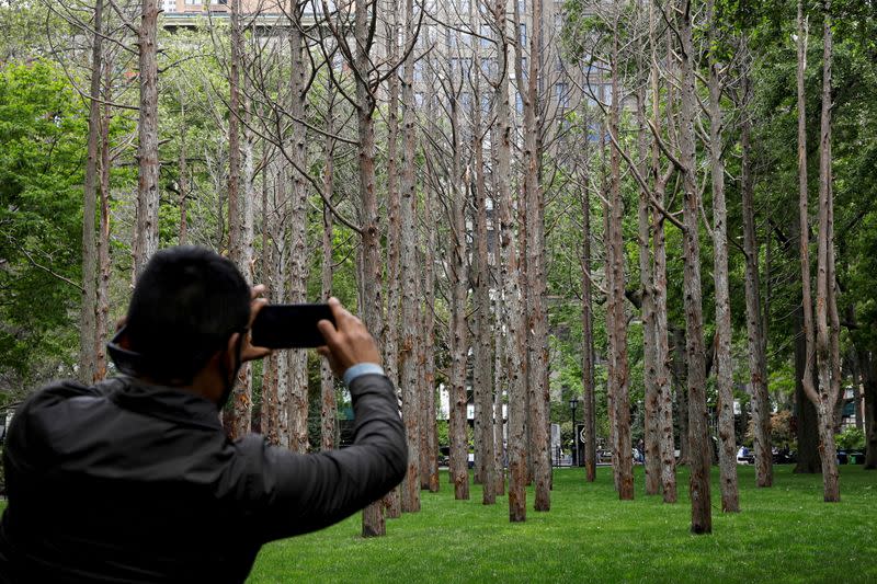 A man photographs "Ghost Forest" an art installation designed by artist Maya Lin in Madison Square Park in New York