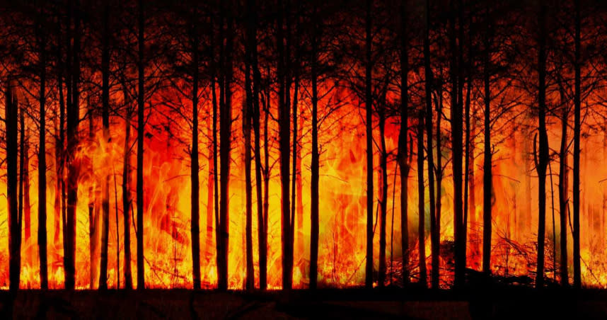 芬蘭近日發生50年來破紀錄的森林大火。（示意圖／pixabay）