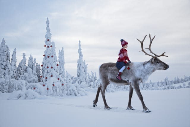 a girl riding a reindeer through a winter forest