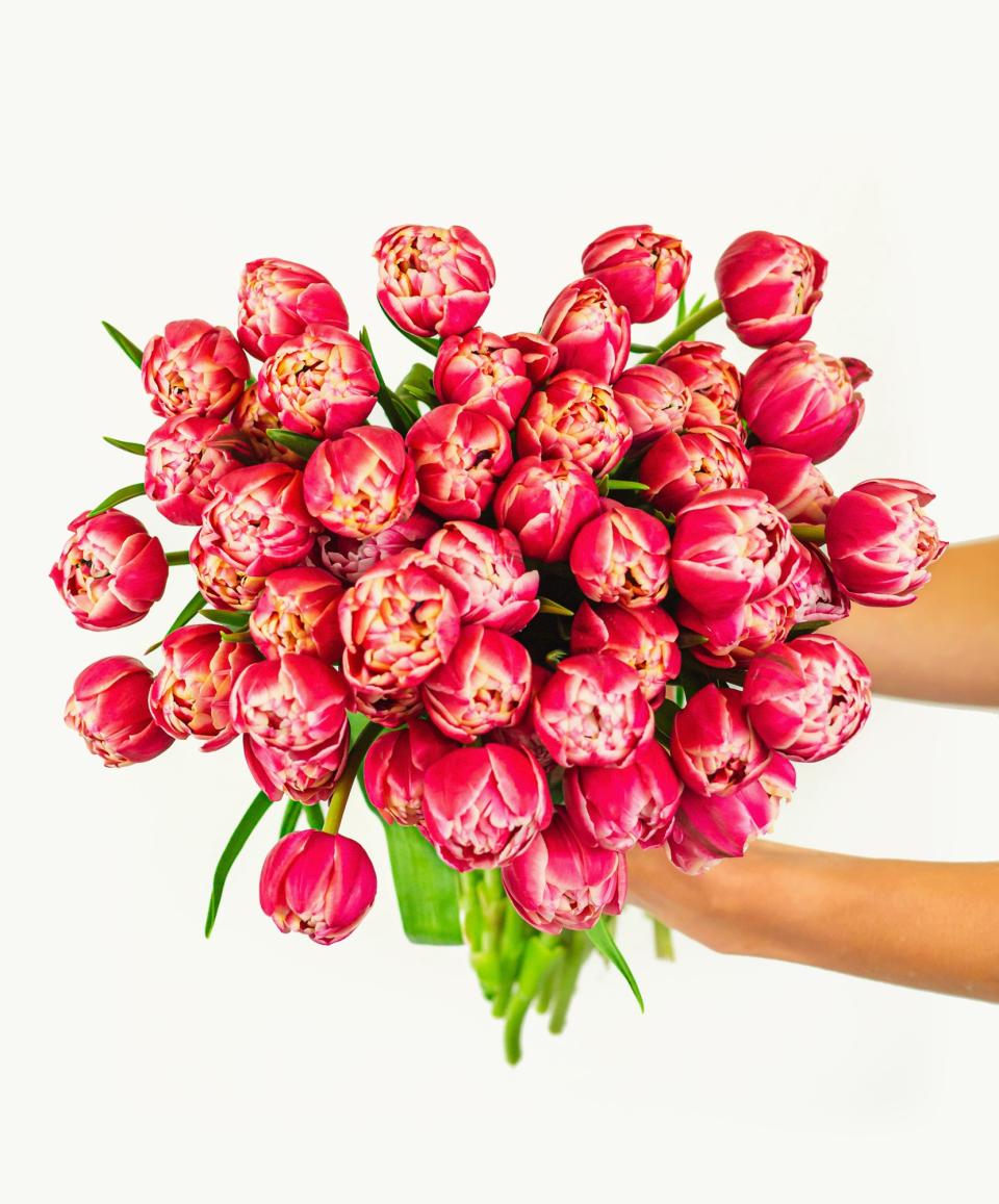 <p><a href="https://go.redirectingat.com?id=74968X1596630&url=https%3A%2F%2Fwww.bloomsybox.com%2Fp%2Fpink-peony-tulips&sref=https%3A%2F%2Fwww.countryliving.com%2Fshopping%2Fgifts%2Fg23480472%2Fteenage-girl-gifts%2F" rel="nofollow noopener" target="_blank" data-ylk="slk:Shop Now;elm:context_link;itc:0;sec:content-canvas" class="link ">Shop Now</a></p><p>Pink Peony Tulips</p><p>bloomsybox.com</p><p>$99.99</p>