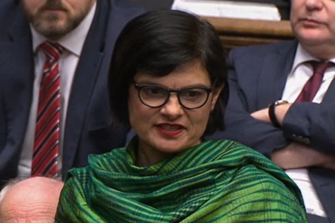 Thangam Debbonaire (House of Commons/PA) (PA Archive)