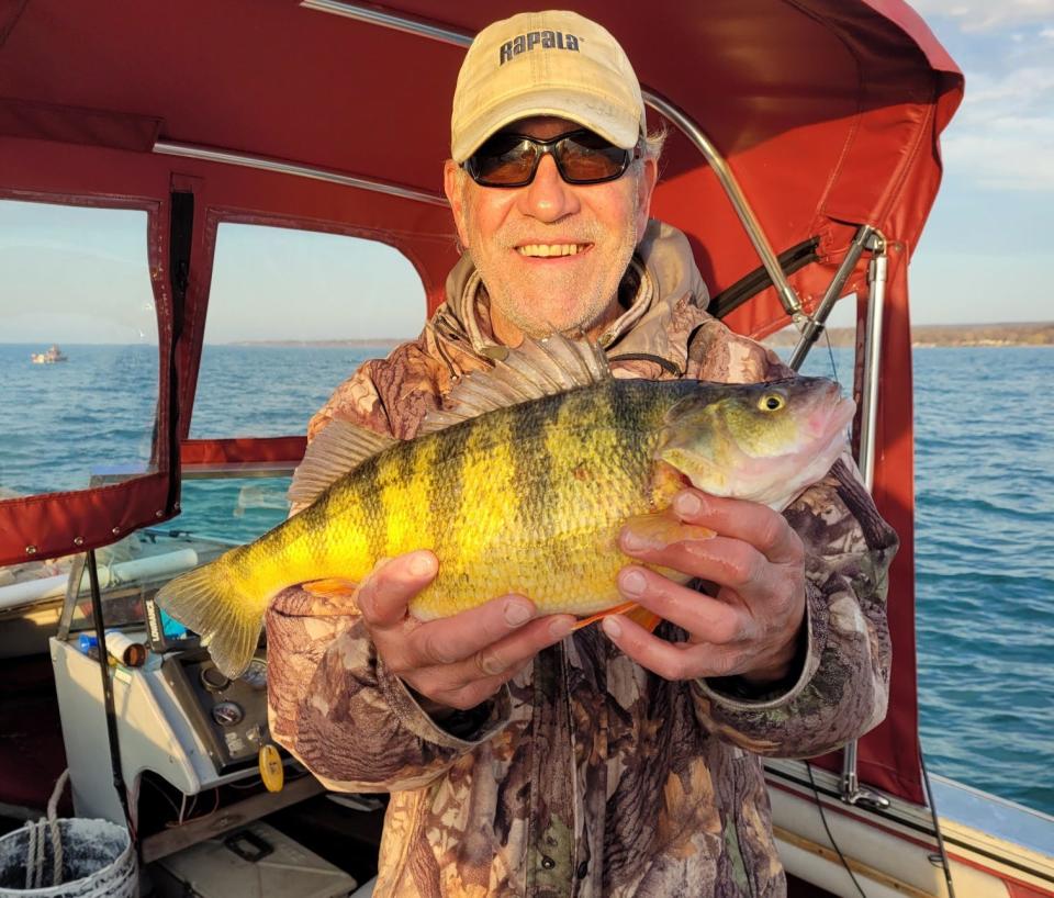 Kirk Rudzinski shows off the 2.98-pound yellow perch that he caught Friday, April 9, 2021, on Lake Erie. It might be a state record.