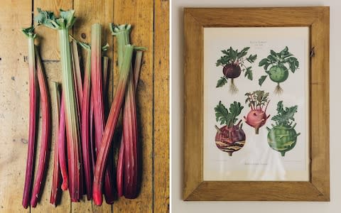 rhubarb and a vegetable print at The Black Swan - Credit: India Hobson