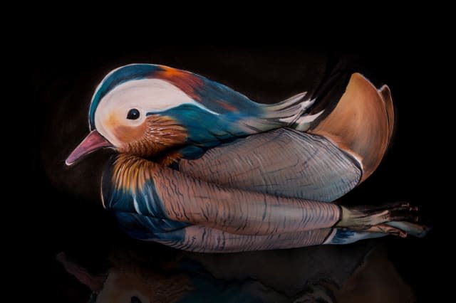 *** MANDATORY BYLINE PIC BY MARK RUPPELT/ CATERS NEWS *** (Pictured: bodyart by Gesine Marwedel) - These incredible realistic animal paintings using HUMAN BODIES as a canvas will blow your mind. At first glance, they just look like amazingly detailed animal artworks  but on closer inspection you can see models limbs being cleverly camouflaged by paint. The cleverly designed animal paintings - including a turtle on the beach, koala in a tree and a sleeping red panda - each contain a cunningly concealed person, cleverly blending into the background. The intricate works of art can take anywhere from four hours to more than 12 hours to complete  but after a photoshoot theyre washed away in minutes. SEE CATERS COPY