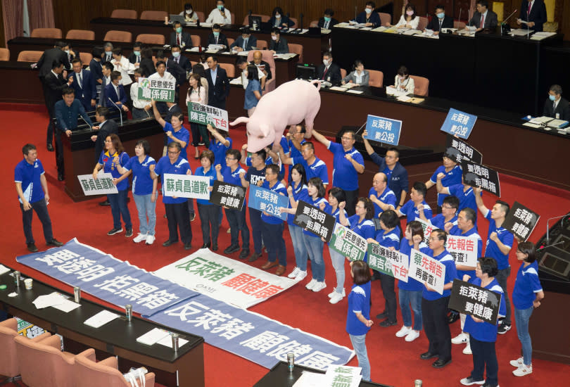 國民黨立委今在議場扛起「台灣豬」道具抗議行政院將開放美豬。（圖／黃威彬攝）