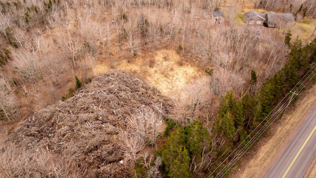 'It's a large pile of wood that we would really like to see gone,' says Monica Simpson, who lives near a disposal site for debris left by post-tropical storm Fiona in 2022. ( Shane Hennessey/CBC News - image credit)