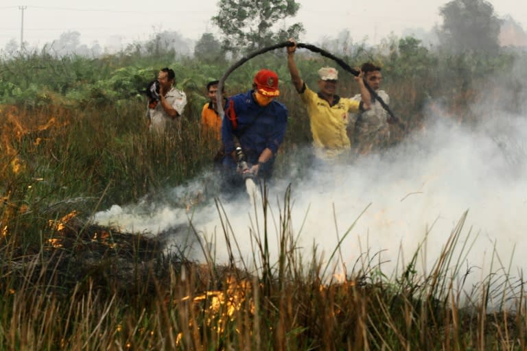 Indonesian firefighters put out a blaze in Banyuasin, southern Sumatra, on October 7, 2015