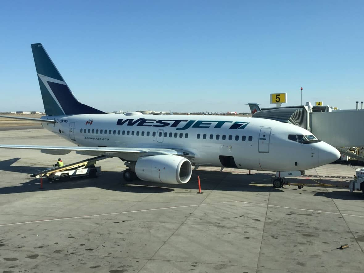 In this file photo, a WestJet Boeing 737-800 aircraft sits at a gate at Saskatoon International Airport. (Albert Couillard/CBC - image credit)