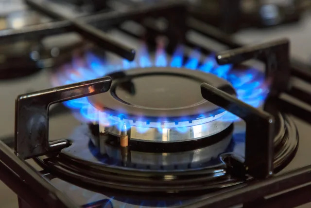 Blue flames of a natural gas hob cooker burner working.