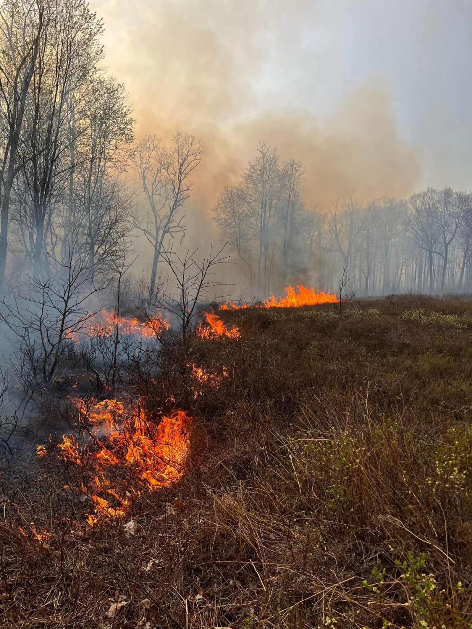 A number of fire companies from Centre, Clearfield and Blair counties battled a forest fire that burned more than 1,500 acres in Rush Township on April 20.